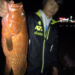 龍神丸(鹿児島) 釣果