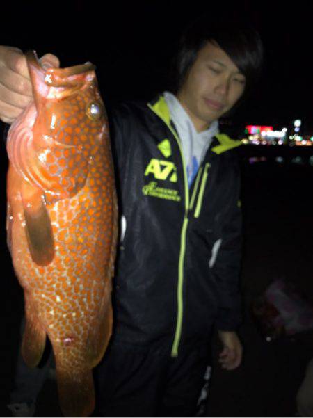 龍神丸(鹿児島) 釣果