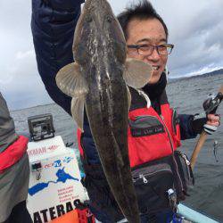 アマテラス 釣果