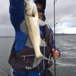 アマテラス 釣果