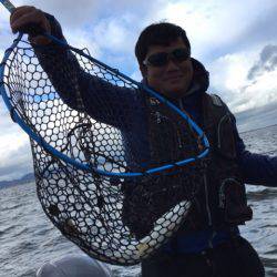 アマテラス 釣果