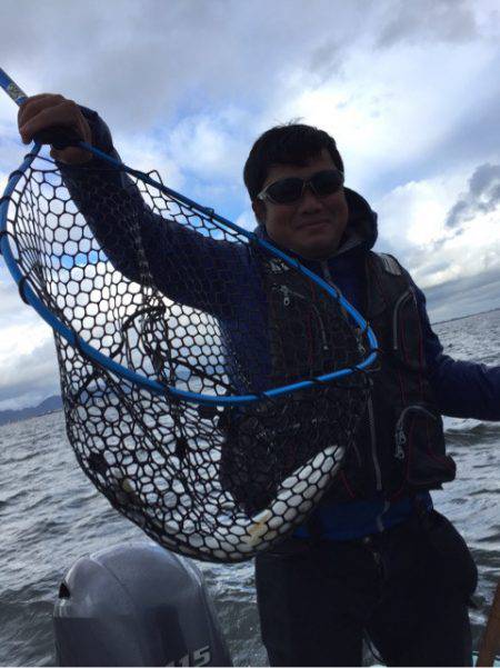 アマテラス 釣果