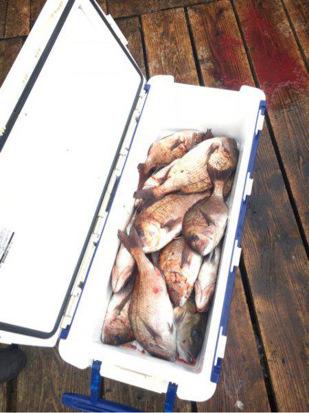 釣り堀水宝 釣果