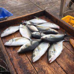 釣り堀水宝 釣果