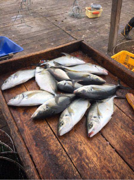 釣り堀水宝 釣果