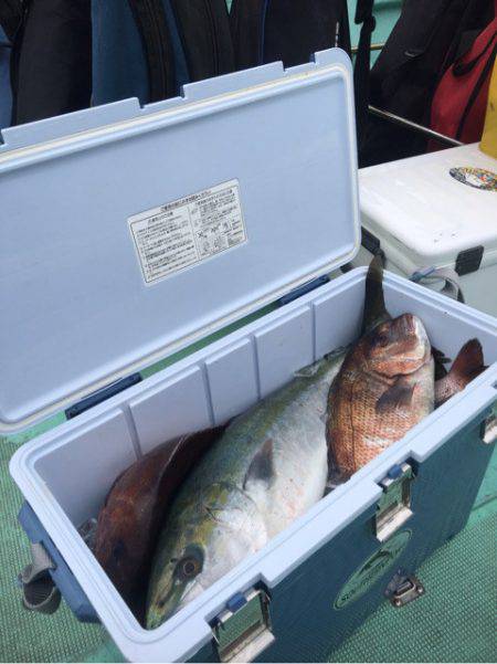 釣り堀水宝 釣果