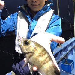 ヤザワ渡船 釣果
