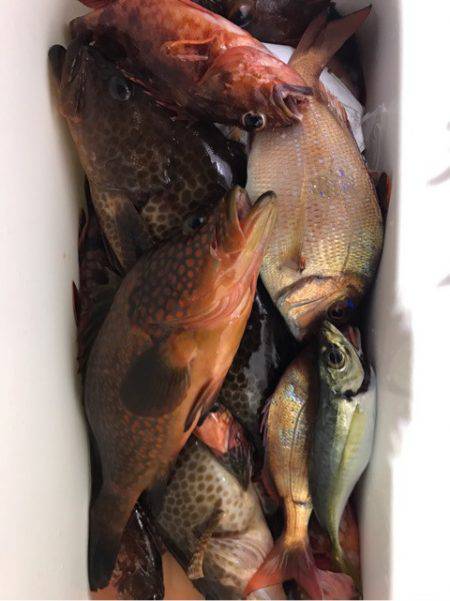 龍神丸（鹿児島） 釣果