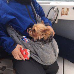 Ｖ−７ West 釣果