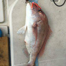 末広丸(熊本) 釣果