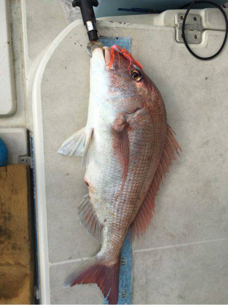 末広丸(熊本) 釣果