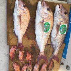 末広丸(熊本) 釣果