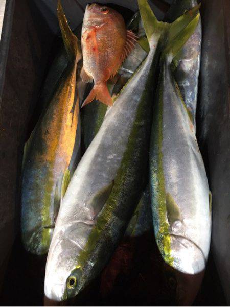 海楽隊 華栞丸 釣果