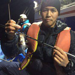 ヤザワ渡船 釣果