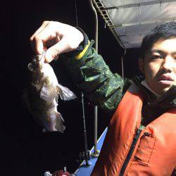 ヤザワ渡船 釣果