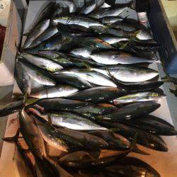 海楽隊 華栞丸 釣果