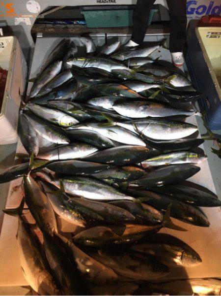 海楽隊 華栞丸 釣果