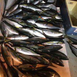 海楽隊 華栞丸 釣果