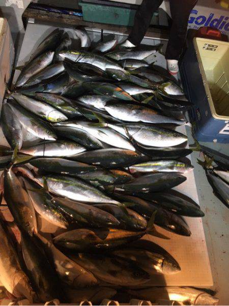 海楽隊 華栞丸 釣果