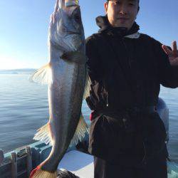 アマテラス 釣果