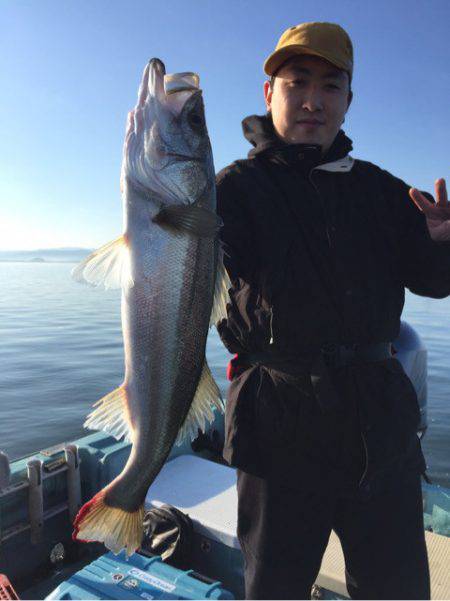 アマテラス 釣果