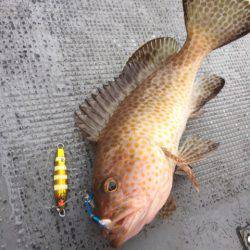 第二 海洋丸 釣果