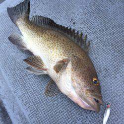 第二 海洋丸 釣果