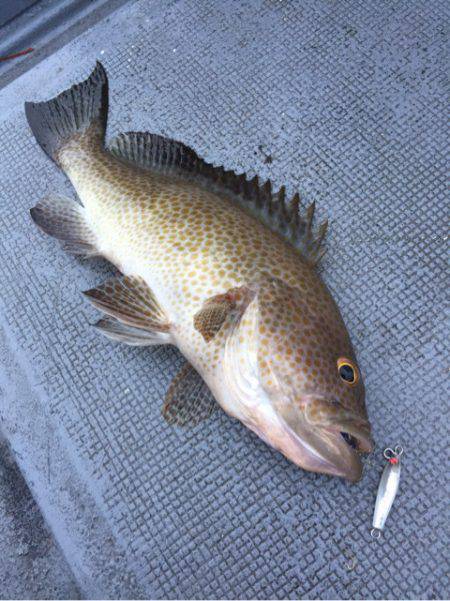 第二 海洋丸 釣果