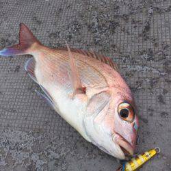 第二 海洋丸 釣果