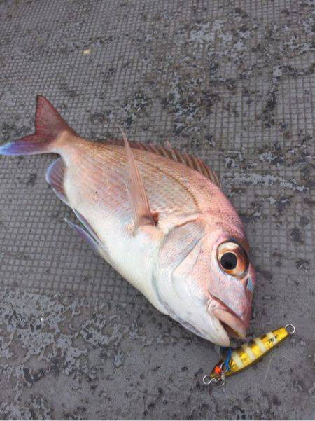 第二 海洋丸 釣果