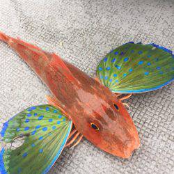 第二 海洋丸 釣果