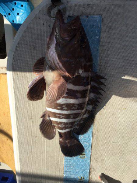 末広丸(熊本) 釣果