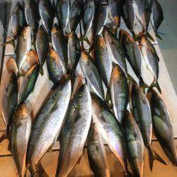 海楽隊 華栞丸 釣果