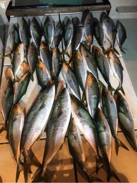 海楽隊 華栞丸 釣果