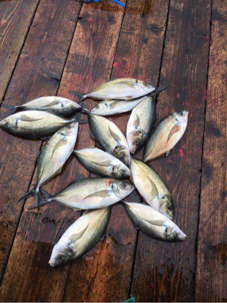 釣り堀水宝 釣果