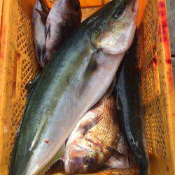 釣り堀水宝 釣果