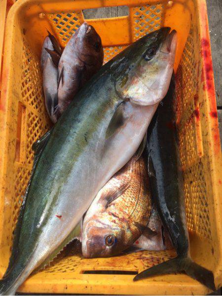 釣り堀水宝 釣果