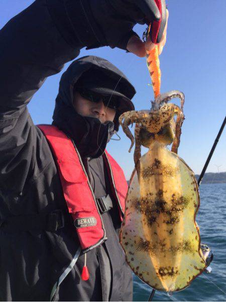 「LaGooN」蒼陽丸 日和号 釣果
