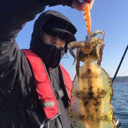 「LaGooN」蒼陽丸 日和号 釣果