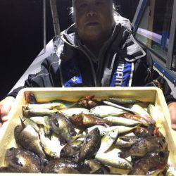 ヤザワ渡船 釣果