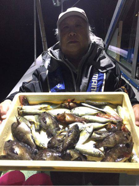 ヤザワ渡船 釣果