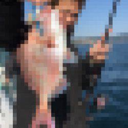 龍神丸(鹿児島) 釣果