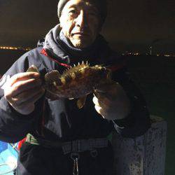 ヤザワ渡船 釣果