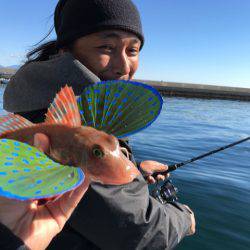 龍神丸(鹿児島) 釣果