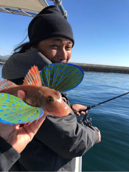 龍神丸(鹿児島) 釣果