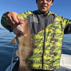 龍神丸(鹿児島) 釣果