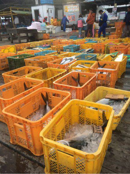 釣り堀水宝 釣果