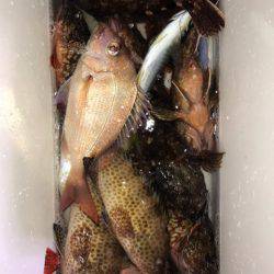 龍神丸(鹿児島) 釣果