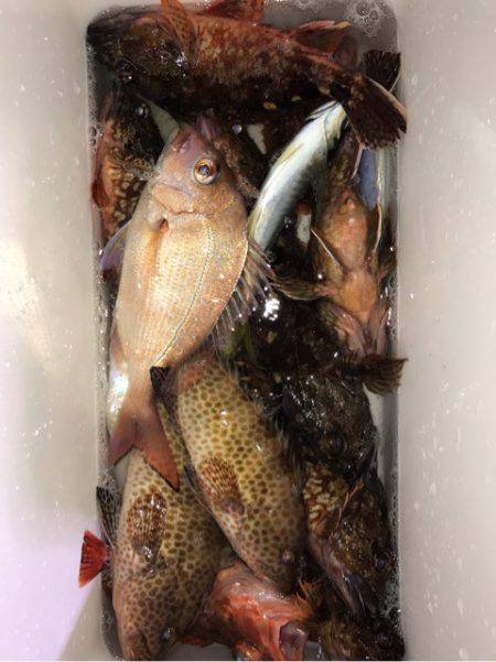 龍神丸（鹿児島） 釣果