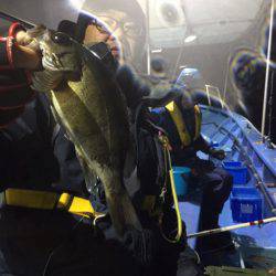 ヤザワ渡船 釣果